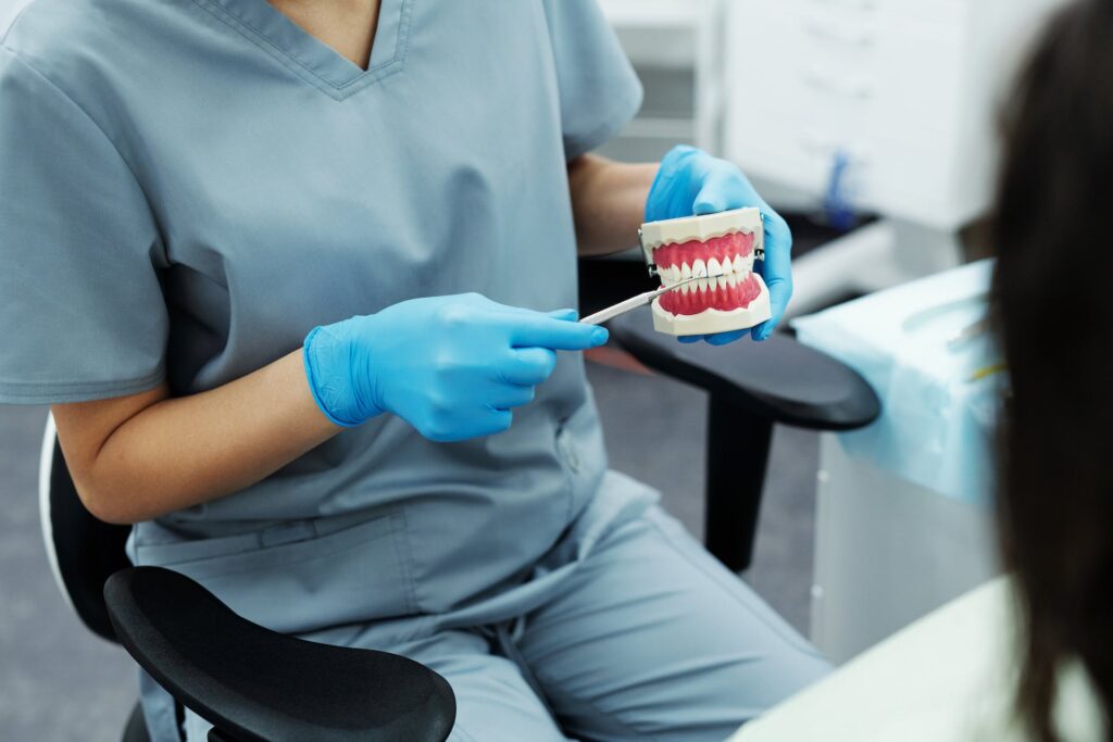 A dentist holding a model of teeth displaying the effects of gingivitis and how the best mouthwash for gingivitis can counteract these symptoms.